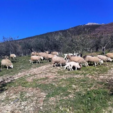 Charming Family Retreat In Umbria Appartamento