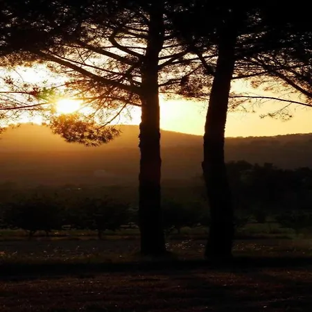 Charming Family Retreat In Umbria