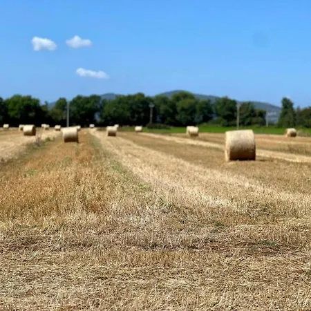 Appartamento Charming Family Retreat In Umbria *