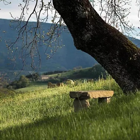 Charming Family Retreat In Umbria Appartement Mantignana