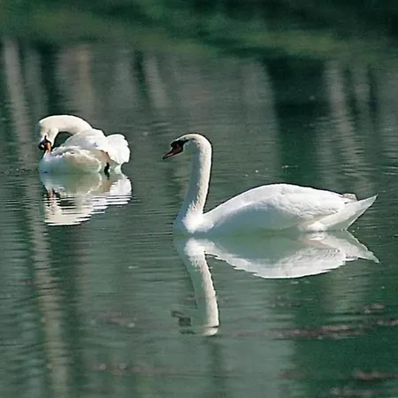 Charming Family Retreat In Umbria Appartamento *