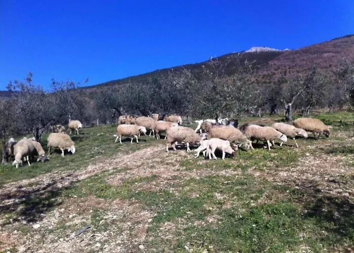 Charming Family Retreat In Umbria Appartement