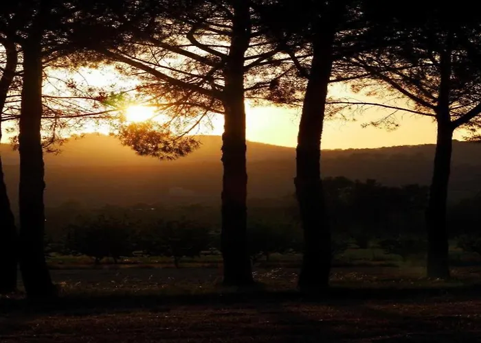 Charming Family Retreat In Umbria