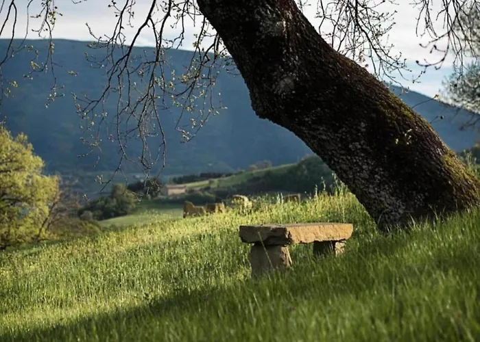 Charming Family Retreat In Umbria Appartement Mantignana